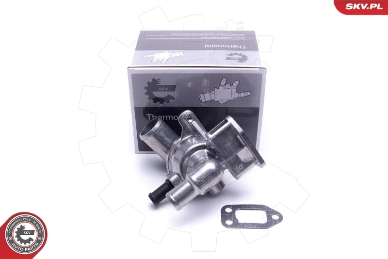 Thermostat, coolant